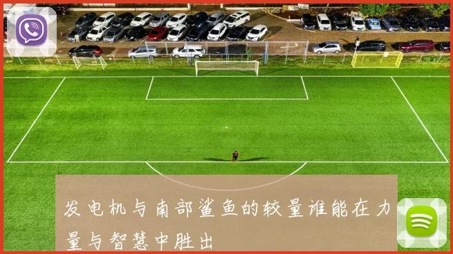 发电机与南部鲨鱼的较量谁能在力量与智慧中胜出