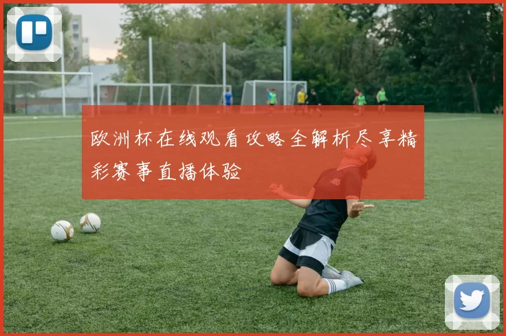 欧洲杯在线观看攻略全解析尽享精彩赛事直播体验